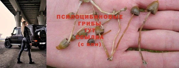 гашишное масло Алзамай
