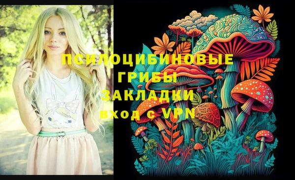 амфетамин Алексин
