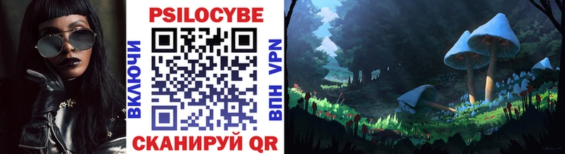Псилоцибиновые грибы прущие грибы  shop формула  Бабушкин  купить наркоту  kraken tor 